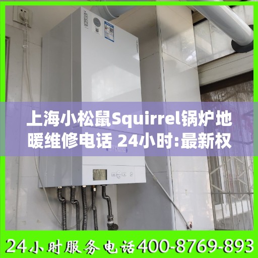 上海小松鼠Squirrel锅炉地暖维修电话 24小时:最新权威推荐