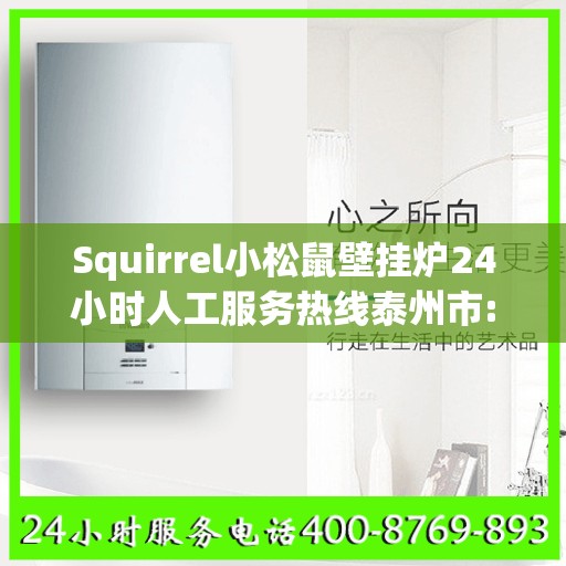 Squirrel小松鼠壁挂炉24小时人工服务热线泰州市:专业权威指南