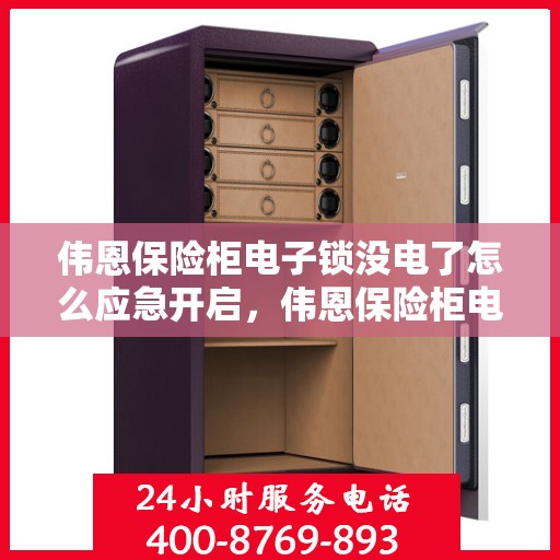 伟恩保险柜电子锁没电了怎么应急开启，伟恩保险柜电子锁应急开启指南，电池耗尽时的解决方案