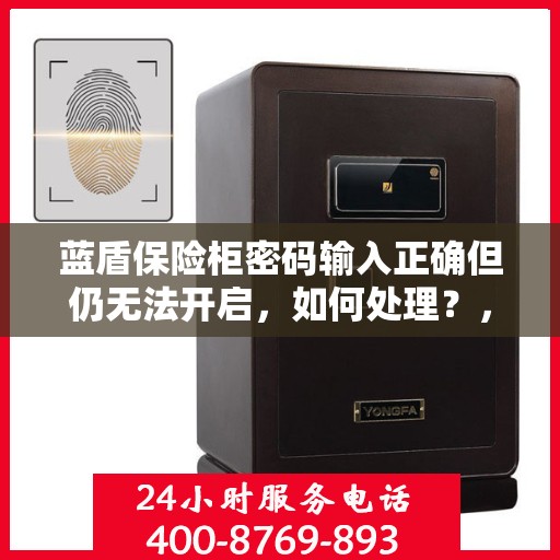 蓝盾保险柜密码输入正确但仍无法开启，如何处理？，蓝盾保险柜密码正确却打不开？解决方法全解析！