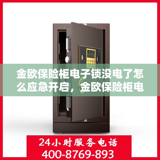 金欧保险柜电子锁没电了怎么应急开启，金欧保险柜电子锁应急开启指南，电池耗尽时的解决方案